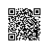 客戶服務-江華海螺輥壓機軸承安裝