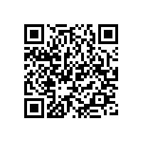 羅茨風(fēng)機(jī)需要使用什么樣的軸承