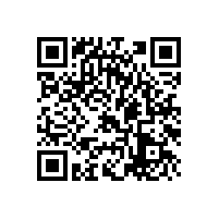 舍弗勒工程師來(lái)我司對(duì)員工進(jìn)行專業(yè)培訓(xùn)
