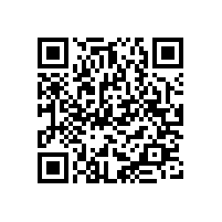 推力調(diào)心滾子軸承E1——更高成本效益和運(yùn)行安全性