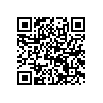 東莞華星恒泰“橡膠閥片”產品成功案例
