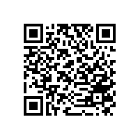 日系仿電鍍鋁銀漿在華優(yōu)勢(shì)受到銀箭品牌產(chǎn)品挑戰(zhàn)