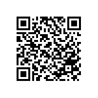 探索銀箭鋁銀漿：科技之美，閃耀未來(lái)