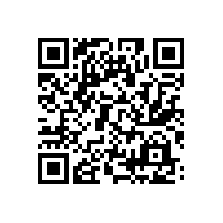 銀箭鋁粉鋁銀漿——中國國際涂料展閃亮登場！