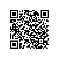 國測信息系統(tǒng)審計(jì)一級(jí)對(duì)技術(shù)能力和業(yè)績的要求匯總！