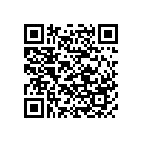 混凝土桥梁工程结构表层缺陷的查验分析——京浪混凝土修复料为您讲述