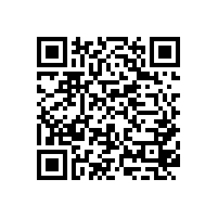 广西某企业税务咨询案例——资产整合