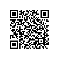 山东宇虹新颜料股份有限公司董事长随德州市长赴印尼共谋经济发展战略