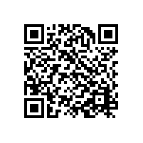 从张雪机车到济南安耐：打破垄断，是中国制造共同的“长征”