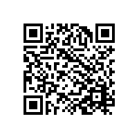 研发落地案例：伯努利技术金属砂光机皮带，解决真空砂光飞件痛点