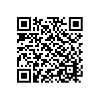 Hazards of Emergency Stop Impact in Electric Servo Cylinders: More Than Just a Sudden Stop, But Severe Hard Damage