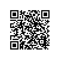 端午节要吃粽子，粽子不干胶标签了解一下？