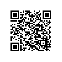 2025 年阜昌翠微商场店 “典当 + 互动” 非遗实践纪实