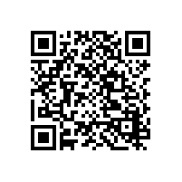 有什么能够比十个Vivienne娃娃更可爱呢？（上）