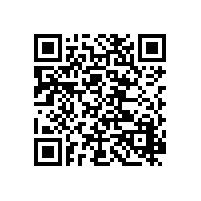 广东威远保安团队建设管理制度