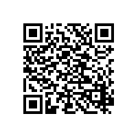 非洲zhui大风力发电厂投入使用