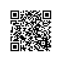 浅谈罗茨风机选型