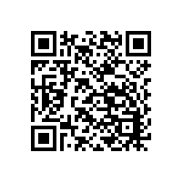 Power Electronic Shell Brazing & Degassing Furnace