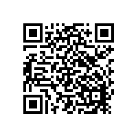 日本理學(xué)波長(zhǎng)X射線熒光光譜儀對(duì)巖石樣品的定點(diǎn)分析及面掃描分析