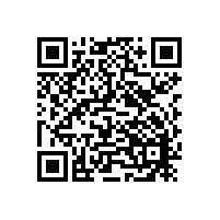 手持光譜儀對DC53模具鋼進行檢測