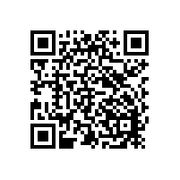 斯派克手持光譜儀在模具鋼檢測中的高效應(yīng)用