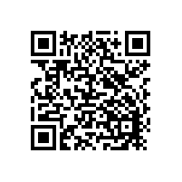 直讀光譜儀成功案例（四）