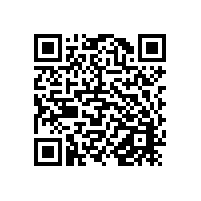 第二艘开普型原木船“绅士”轮靠泊日照港