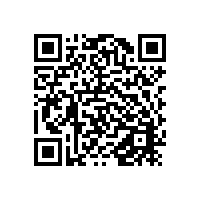 简述船舶自动识别系统（AIS)和船舶黑匣子的关系