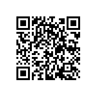 “Wakashio”轮船尾拆除工作九月重启