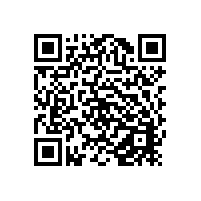 意大利将禁止大型游轮进入威尼斯停靠