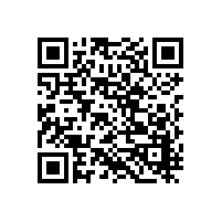 森信立式电热恒温鼓风干燥箱DGG-9000A系列