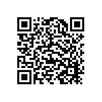 東莞某模具鋼企業(yè)手持式光譜儀成功案例