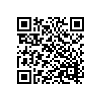 关于电子皮带秤电磁干扰的几点建议