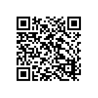 摩托罗拉Mag One系列VZ-D263数字便携式对讲机