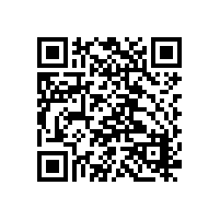 摩托罗拉Mag One系列EVX-Z62数字便携式对讲机