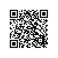 海兴通SZ-260耳挂式公网对讲机