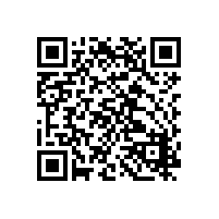 HYSTONG 海兴通公网对讲机 SZ-555-8 全网通（移动/电信/联通）