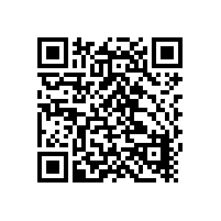 科立讯DM880数字车载台标配包装盒内有哪些物品？