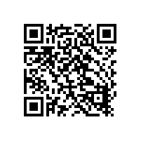科立讯DP485数字对讲机