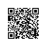 摩托罗拉专业数字对讲机XiR E8608i