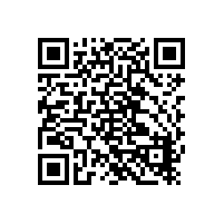 摩托罗拉对讲机之下一代DMR集群解决方案：Capacity Max