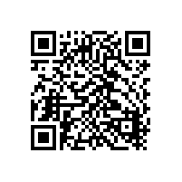摩托罗拉P3688数字对讲机有重型耳机吗？