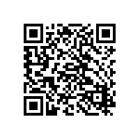 摩托罗拉 P6620 数字对讲机助力港新重装码头通信调度数字化
