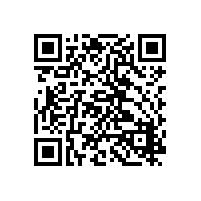 摩托罗拉P8608i数字对讲机