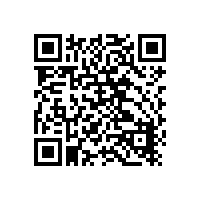 中兴高达PH790数字对讲机可按程键有几个？