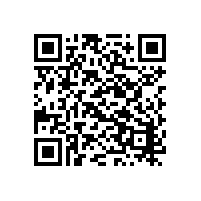 电动扫地车：游乐园公园的清洁新宠