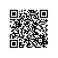 煤化工，焦化，煤气余热发电，尾气焚烧等厂家如何选购到性价比高煤气闸阀
