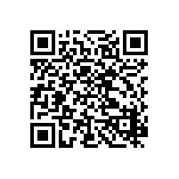 硬密封煤气蝶阀使用的是什么结构型式？