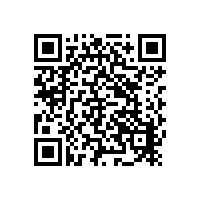 落地式直讀光譜儀MAXx新成功案例