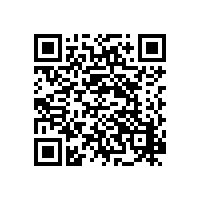 現(xiàn)場金屬快速分析解決方案